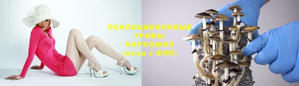 винт Алексин
