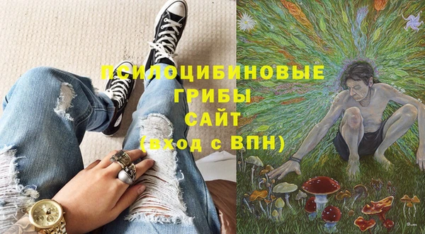 винт Алексин