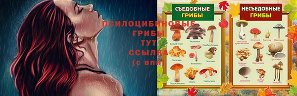 винт Алексин